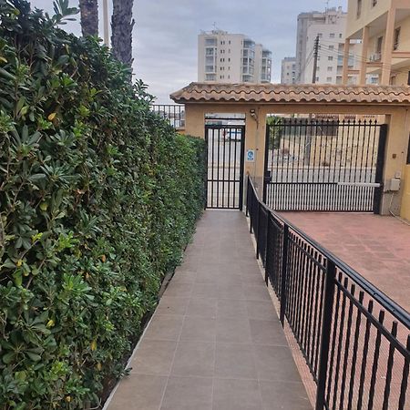 Modern Apartment Near The Beach La Mata  Ngoại thất bức ảnh